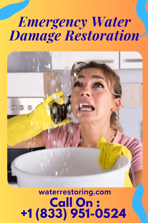 Emergency Water Damage Restoration in Delavan, IL